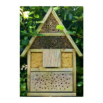 Kostenloser Bauplan für ein tolles Bienenhaus