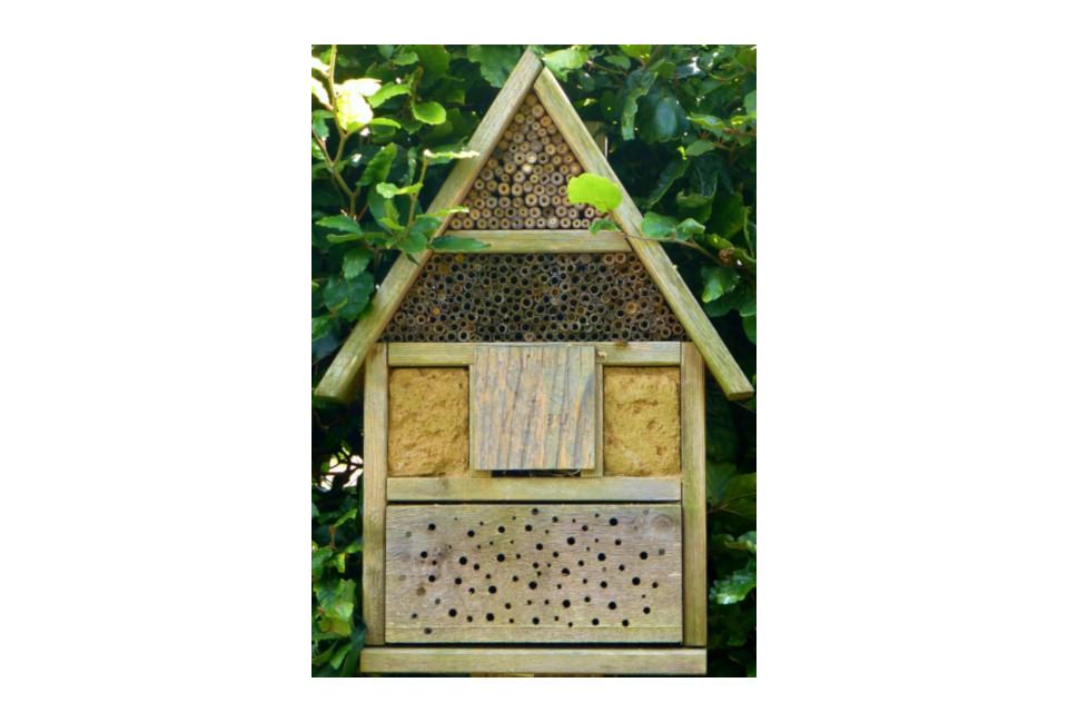 Kostenloser Bauplan für ein tolles Bienenhaus