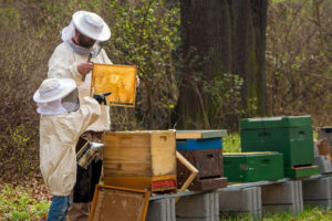 Welche Faktoren es beim Bestellen die Bienenanzug zu analysieren gibt!