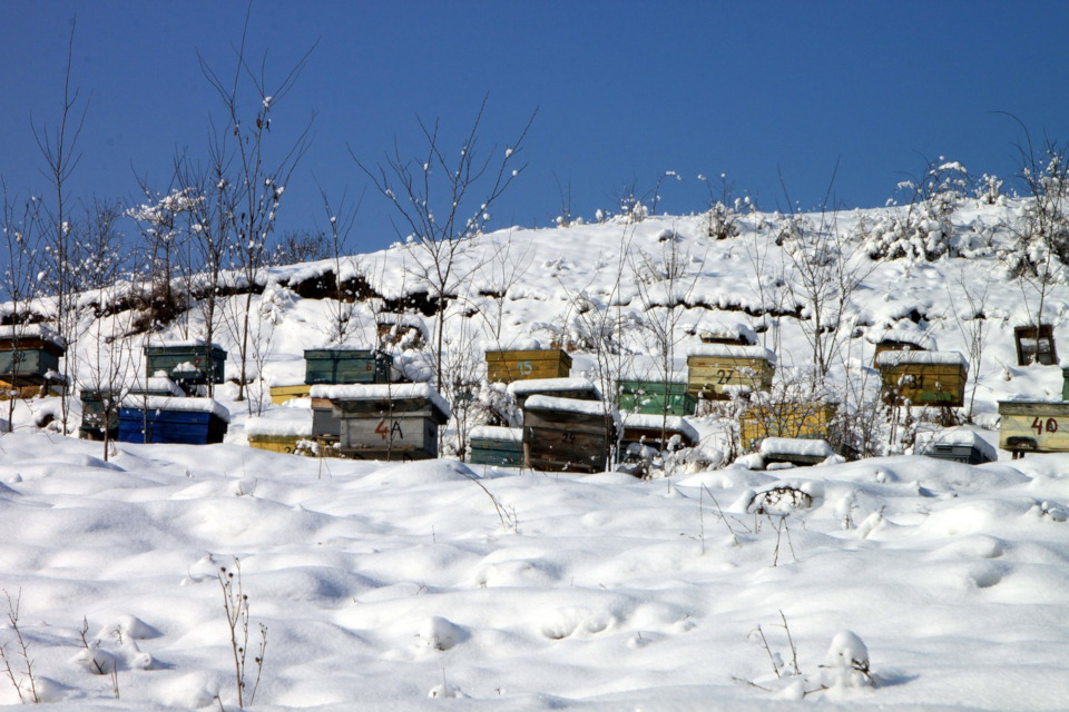 Bienenstockheizung im Winter